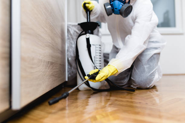 Best Cockroach Control Services  in Tower Lakes, IL