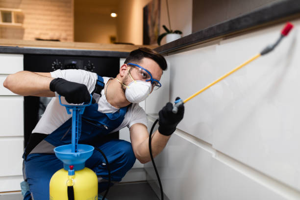 Best Cockroach Control Services  in Tower Lakes, IL