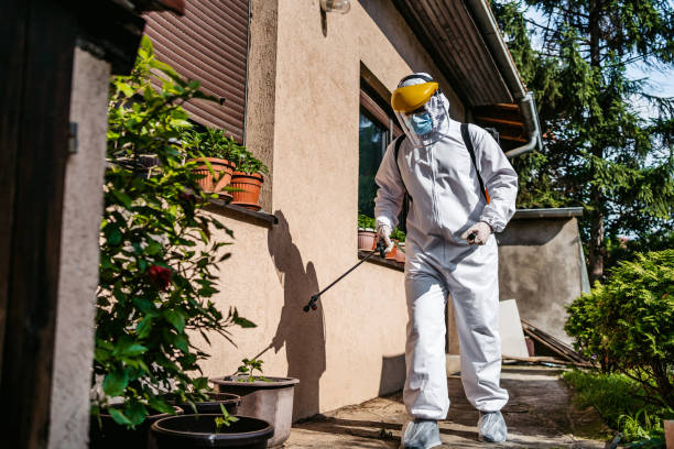 Best Pest Prevention Services  in Tower Lakes, IL