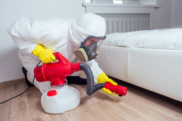 Best Pest Control Near Me  in Tower Lakes, IL