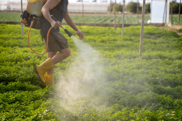 Best Commercial Pest Control Services  in Tower Lakes, IL