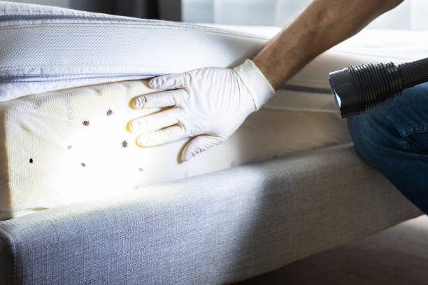Tower Lakes, IL Pest Control Company