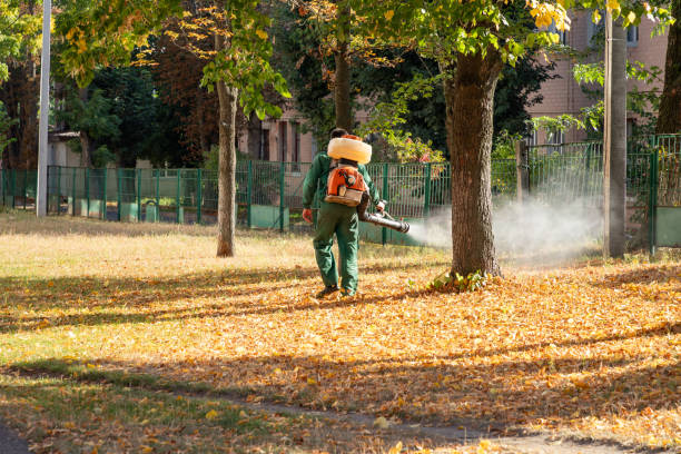 Best Rodent Control Near Me  in Tower Lakes, IL