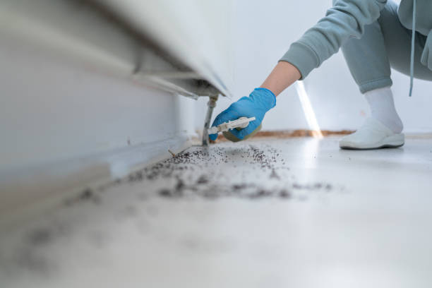 Best Local Pest Control Services  in Tower Lakes, IL