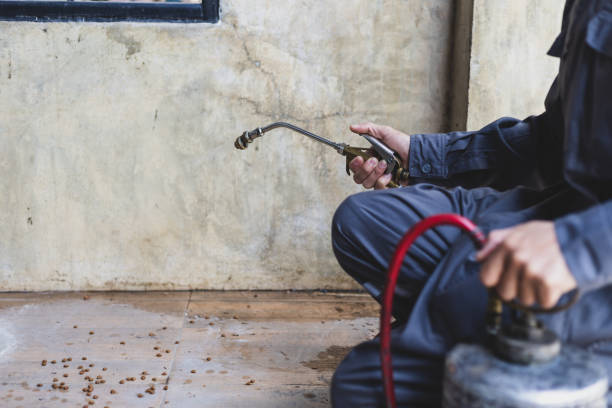 Best Flea Control Services  in Tower Lakes, IL