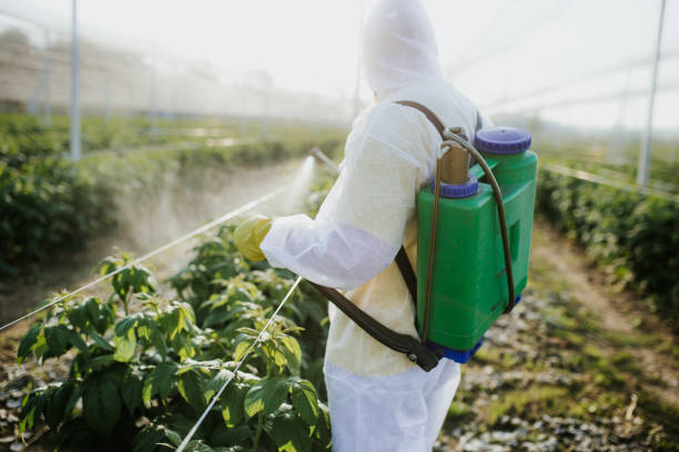 Best Wildlife Control Services  in Tower Lakes, IL